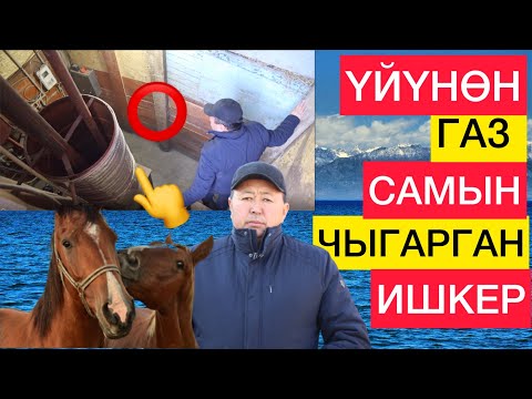 Видео: МАЛ КЫГЫНАН ГАЗ, САМЫН ЧЫГАРГАН ИШКЕР...