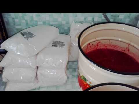 Видео: БРУСНИКА НА ЗИМУ БЕЗ ВАРКИ.