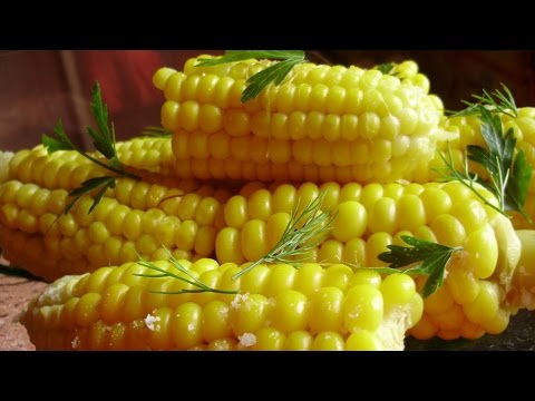 Видео: Гурман. Как варить кукурузу, чтобы все было вкусно