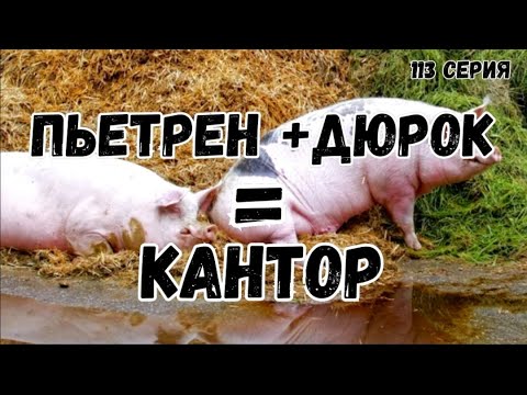 Видео: Миллион на свиньях. Пьетрен + Дюрок = КАНТОР.