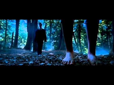 Видео: Гарри Поттер - прикольная подборка.