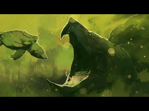 Видео: Добро пожаловать в Каппу: мир черепах