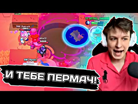 Видео: ВИТАЛ ШАРК ГОРИТ НА ТИММЕЙТОВ И РАЗДАЕТ ПЕРМАЧИ В ЧАТЕ! • Нарезка с канала VitalxShark