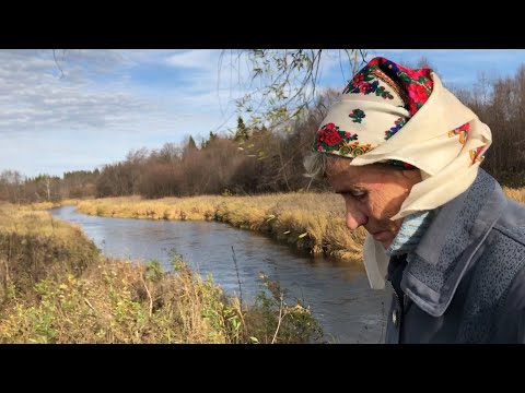 Видео: ОДНА В ЛЕСУ / УНИКАЛЬНАЯ ИСТОРИЯ