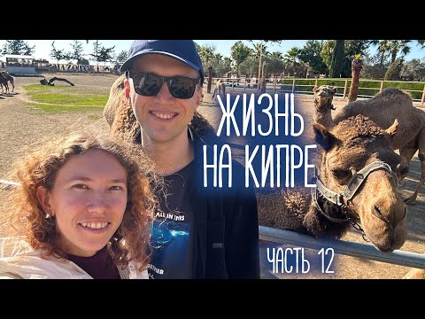 Видео: ЖИЗНЬ НА КИПРЕ, часть 12 | Карнавал, парк верблюдов и водопад