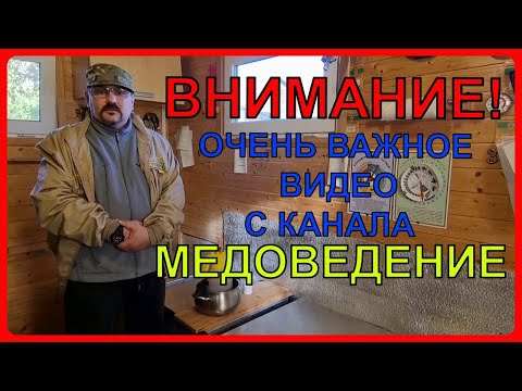 Видео: 🔴 Пчелы без Варроа, вирусов и бактерий. Реально? - Вполне! 🔴