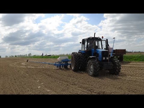 Видео: МТЗ 1221 на севе кукурузы