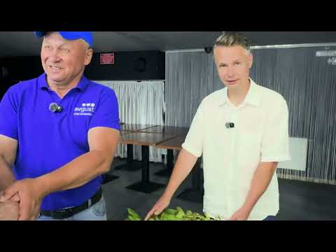 Видео: Картофельный тур. Выпуск 1 — Болезни картофеля в сезоне 2025