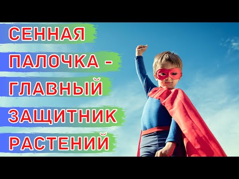Видео: Биологическая защита растений от болезней - экономично и эффективно! НПП Сибирские Гуматы