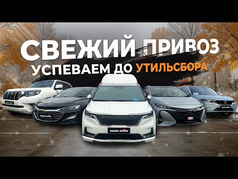 Видео: СВЕЖИЙ ПРИВОЗ🔥УСПЕЙ ДО УТИЛЬСБОРА🔥PRADO🔥MALIBU🔥PRIUS🔥INTEGRA🔥CARNIVAL🔥