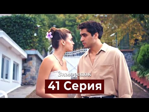 Видео: Зимородок 41 Cерия (Русский дубляж)
