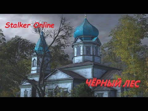Видео: Stalker Online / Stay Out Чёрный лес Село Красно Хранилище