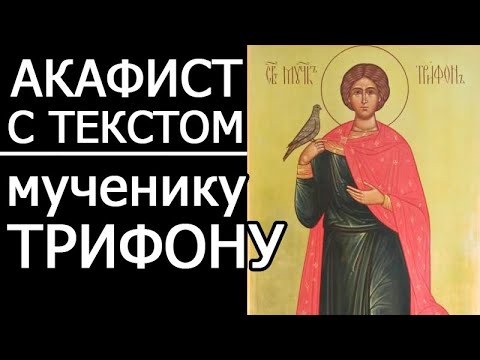 Видео: АКАФИСТ МУЧЕНИКУ ТРИФОНУ