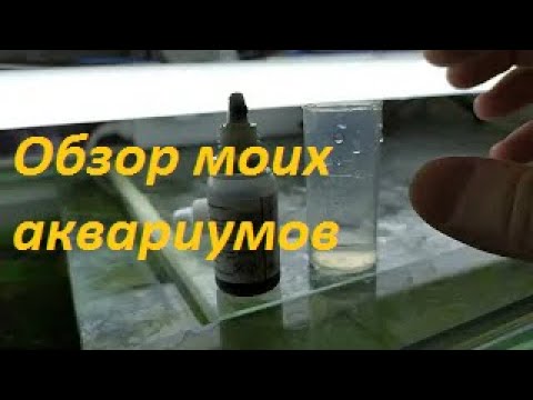 Видео: Мое аквариумное хозяйство. Точки над "Ё".