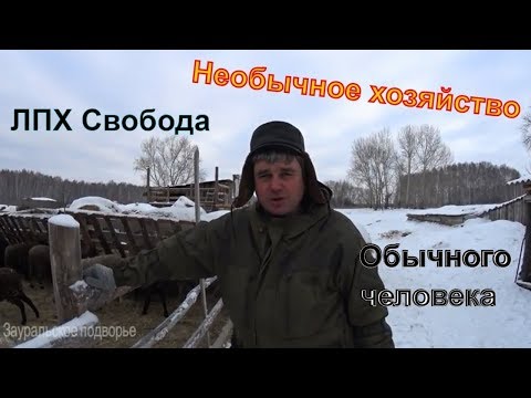 Видео: Ферма в глуши В гостях у Александра Деревенская жизнь