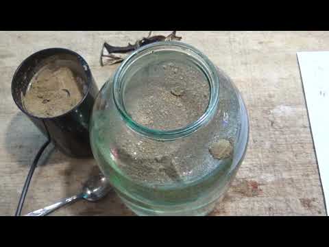 Видео: ДАФНИЯ - БАНАНОВАЯ ПЫЛЬ