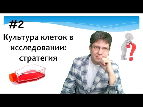 Видео: Культуры клеток в исследовании: стратегия использования. Культивирование клеток.