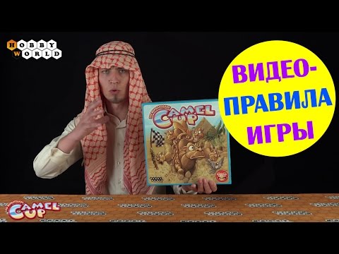 Видео: Настольная игра Camel UP — Правила игры