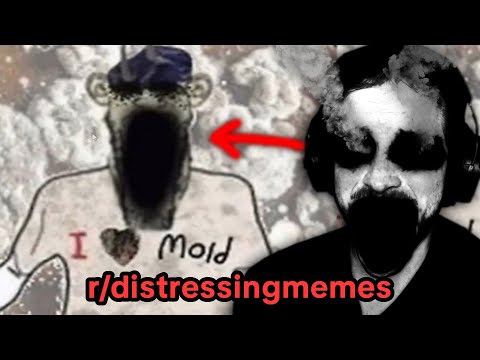 Видео: Исследуем тревожные мемы (я готов) | #22