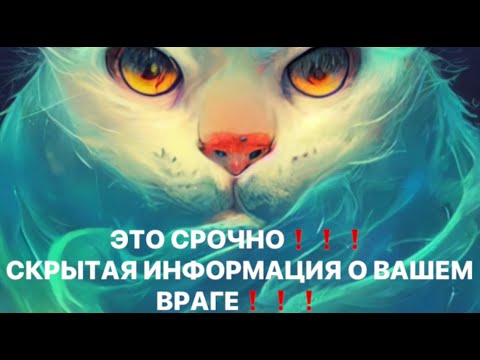 Видео: 🔥ЭТО СРОЧНО❗️СКРЫТАЯ ИНФОРМАЦИЯ О ВРАГЕ❗️❗️❗️🔥