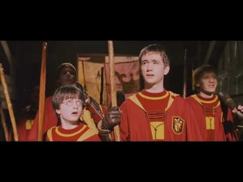 Видео: Квиддич