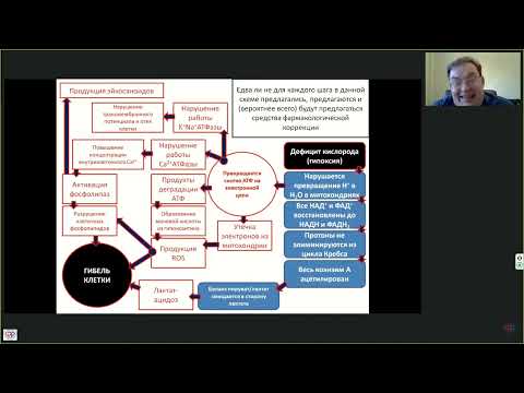 Видео: Шок Ишемия Репрфузия Афончиков В.С.