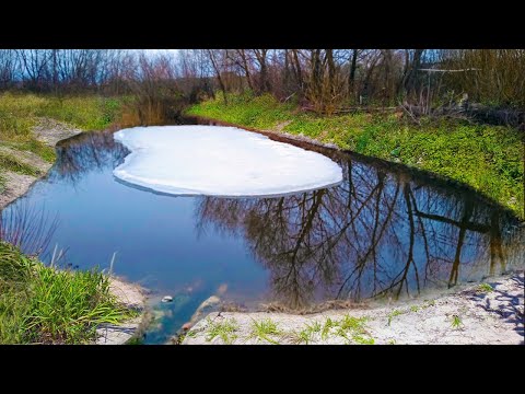 Видео: Мой пруд на даче весной! Всё затопило!