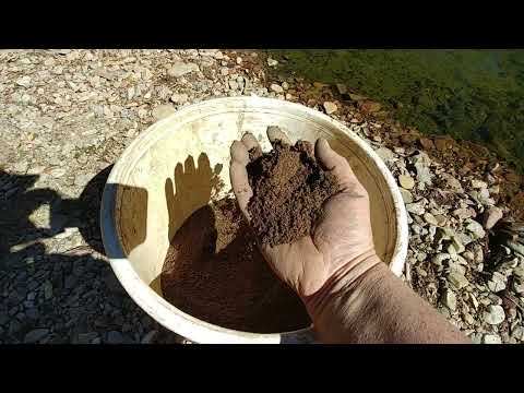 Видео: Золото в песчаном аллювии
