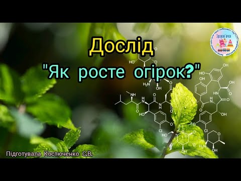 Видео: Дослід "Як росте огірок?"