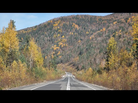 Видео: 2022. Золотая осень на трассе Ванино-Лидога.