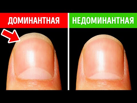 Видео: 90+ потрясающих фактов, которые были обнаружены совсем недавно