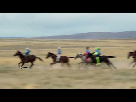 Видео: Төменгі Қайрақты 80 жыл тай бәйге