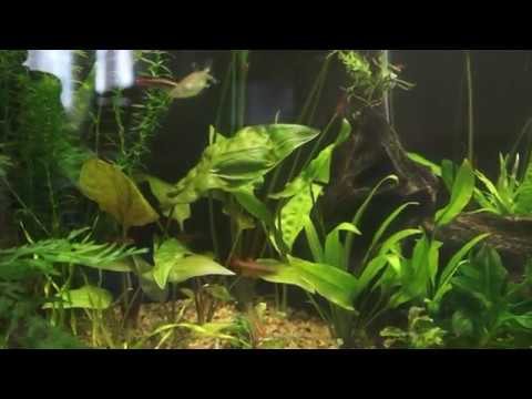 Видео: Самодельный внешний фильтр не как у всех.