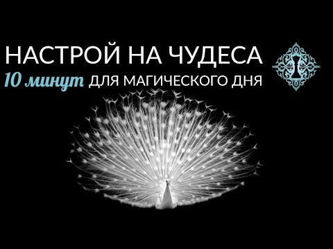 Видео: НАСТРОЙ НА ЧУДЕСА. Утренний ритуал от Ады Кондэ. #АдаКондэНастрой