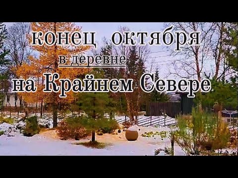 Видео: Конец октября в деревне на Крайнем Севере.