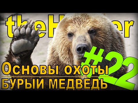 Видео: the Hunter - Бурый медведь [Основы охоты] #22