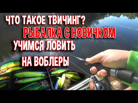 Видео: Что такое ТВИЧИНГ? Рыбалка с новичком. Учимся ловить на воблеры