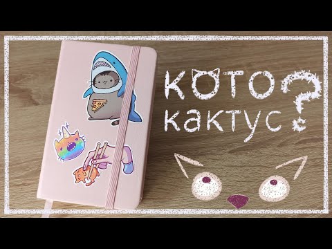 Видео: Обзор скетчбука Art Creation и маркеров POSCA