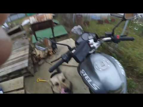 Видео: Карбюратор PZ30 с ускорителем, проверка ездой. STELS FLEX 250