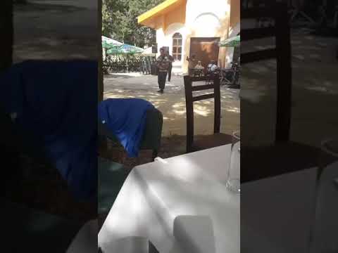 Видео: Незабравимият кавалджия-виртуоз Матьо Добрев и неговата не заглъхваща фолклорна музика...