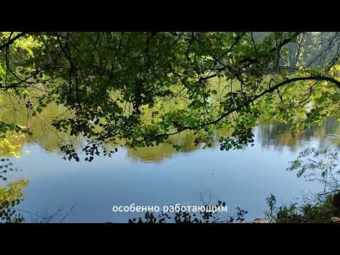 Видео: Прогулка по Воронцовскому парку, немного пошуршим