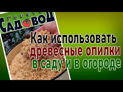 Видео: Как использовать древесные опилки в саду и в огороде