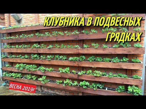 Видео: КЛУБНИКА В ПОДВЕСНЫХ ГРЯДКАХ/Весна-апрель.