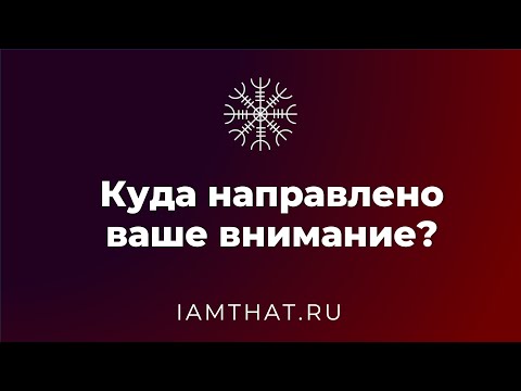 Видео: Куда направлено ваше внимание?