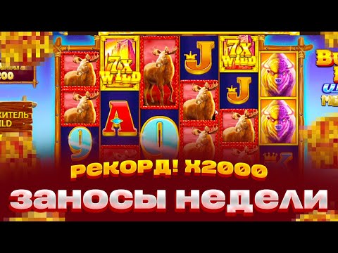 Видео: РЕКОРД! X2000 BUFFALO KING UNTAMED ЗАНОСЫ НЕДЕЛИ