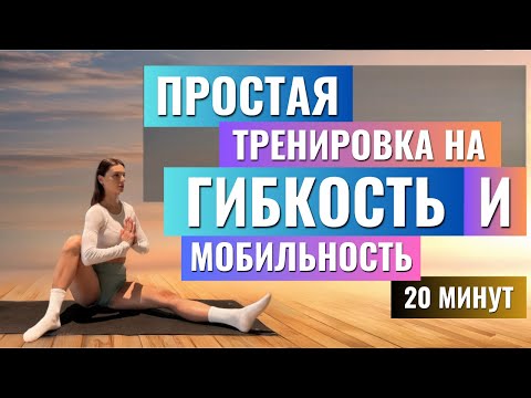 Видео: 🌸 ТРЕНИРУЕМ МОБИЛЬНОСТЬ И ГИБКОСТЬ ПРОСТО ЗА 20 МИН 🌸