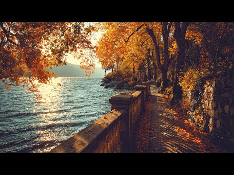 Видео: Прекрасный осенний день🍁Успокаивающая осенняя музыка для снятия стресса и тревоги, успокоения нервов