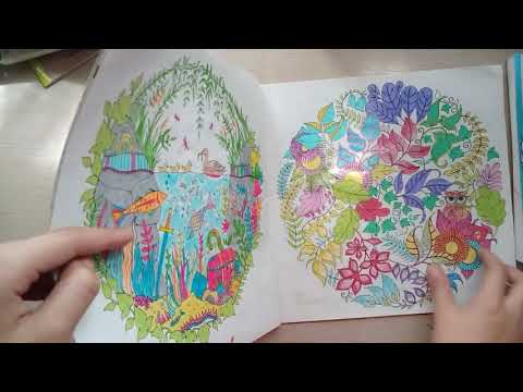 Видео: ВСЕ МОИ РАСКРАСКИ-АНТИСТРЕСС /19 ШТУК / МОЯ КОЛЛЕКЦИЯ АНТИСТРЕСС РАСКРАСОК
