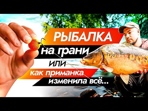 Видео: Как приманка изменила  всё.. | КАРПФИШИНГ 2025!