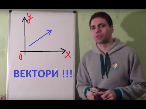 Видео: Вектор. ЩО ЦЕ??? Кординати вектора